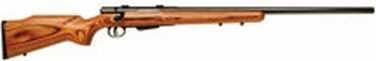 Savage Arms 25 223 Remington Classic 22" DBMag 18530
